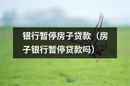 银行暂停房子贷款（房子银行暂停贷款吗）