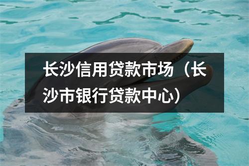 长沙信用贷款市场（长沙市银行贷款中心）