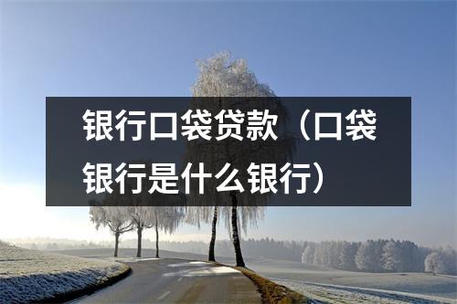 银行口袋贷款(口袋银行是什么银行)