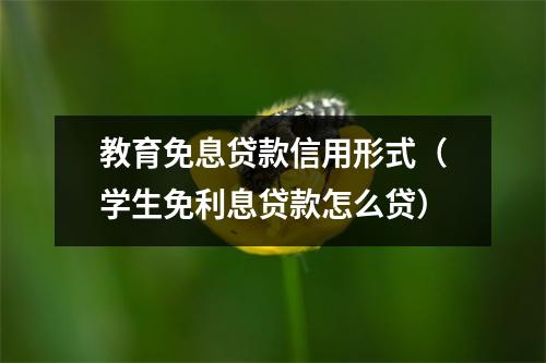 教育免息贷款信用形式（学生免利息贷款怎么贷）