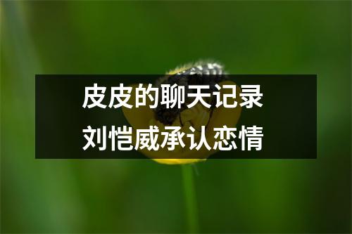 皮皮的聊天记录 刘恺威承认恋情