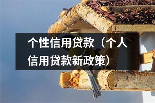 个性信用贷款（个人信用贷款新政策）