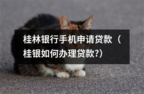 桂林银行手机申请贷款(桂银如何办理贷款?)