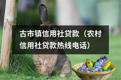 古市镇信用社贷款（农村信用社贷款热线电话）