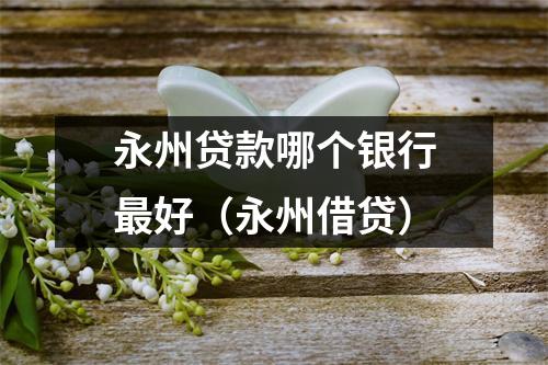 永州贷款哪个银行最好（永州借贷）