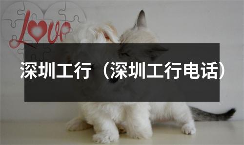 深圳工行（深圳工行电话）