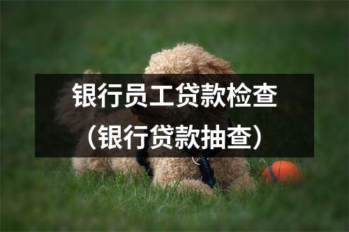 银行员工贷款检查（银行贷款抽查）