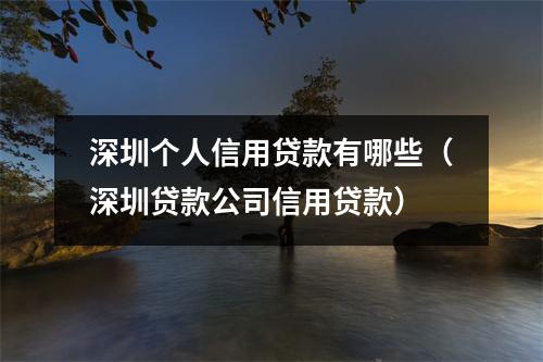 深圳个人信用贷款有哪些（深圳贷款公司信用贷款）