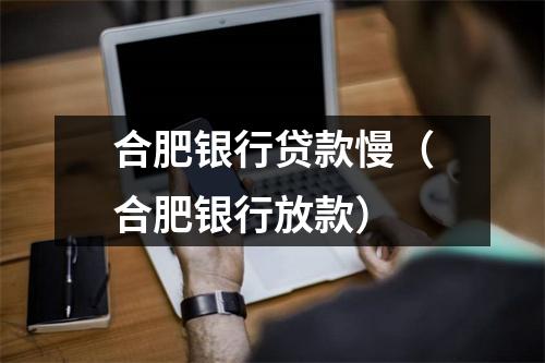 合肥银行贷款慢（合肥银行放款）