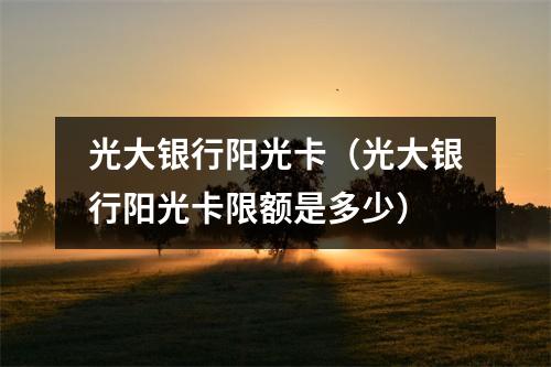 光大银行阳光卡（光大银行阳光卡限额是多少）