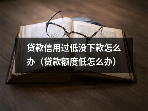 贷款信用过低没下款怎么办（贷款额度低怎么办）