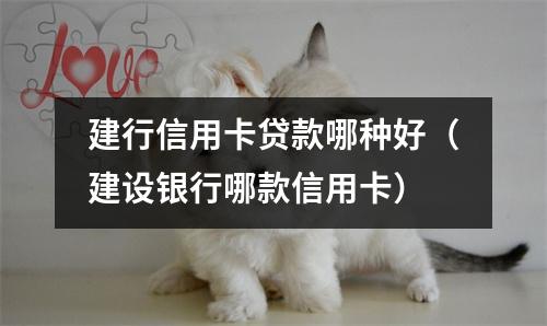 建行信用卡贷款哪种好（建设银行哪款信用卡）