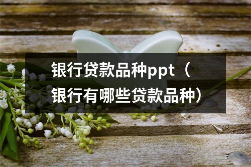 银行贷款品种ppt（银行有哪些贷款品种）