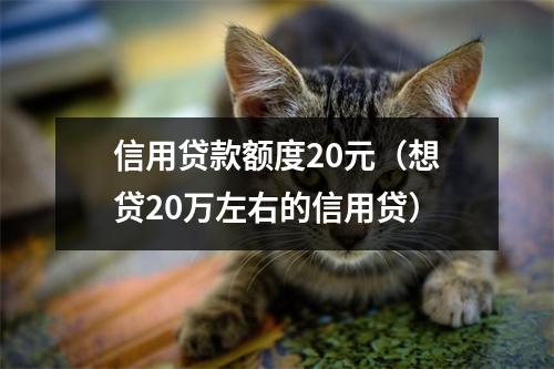 信用贷款额度20元(想贷20万左右的信用贷)