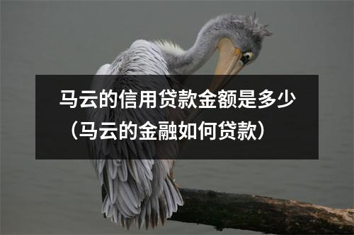 马云的信用贷款金额是多少（马云的金融如何贷款）