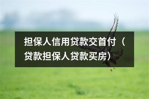 担保人信用贷款交首付（贷款担保人贷款买房）
