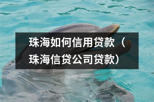 珠海如何信用贷款（珠海信贷公司贷款）