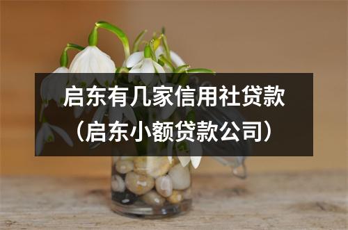 启东有几家信用社贷款（启东小额贷款公司）