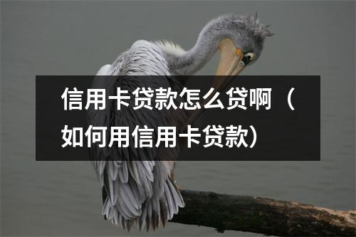 信用卡贷款怎么贷啊（如何用信用卡贷款）