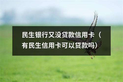 民生银行又没贷款信用卡(有民生信用卡可以贷款吗)