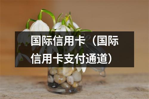 国际信用卡（国际信用卡支付通道）