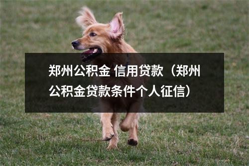 郑州公积金 信用贷款（郑州公积金贷款条件个人征信）