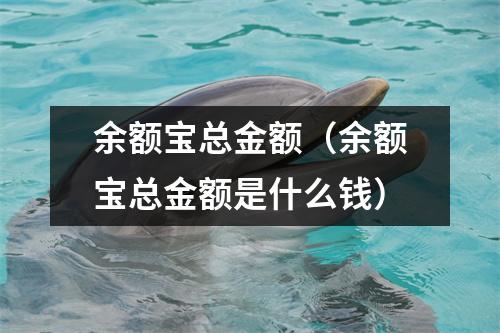 余额宝总金额（余额宝总金额是什么钱）