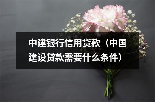 中建银行信用贷款（中国建设贷款需要什么条件）