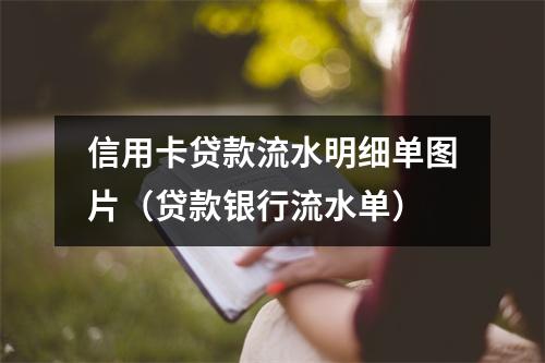 信用卡贷款流水明细单图片（贷款银行流水单）