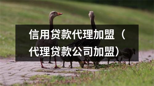 信用贷款代理加盟（代理贷款公司加盟）