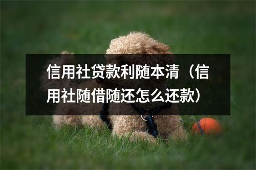 信用社贷款利随本清（信用社随借随还怎么还款）