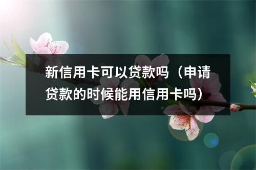 新信用卡可以贷款吗（申请贷款的时候能用信用卡吗）