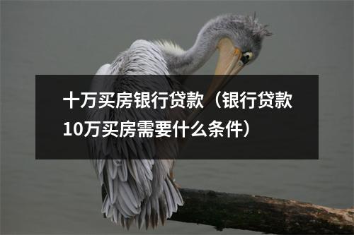 十万买房银行贷款(银行贷款10万买房需要什么条件)