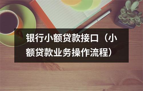 银行小额贷款接口（小额贷款业务操作流程）