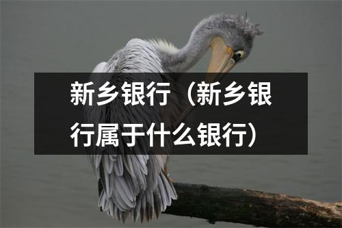 新乡银行（新乡银行属于什么银行）