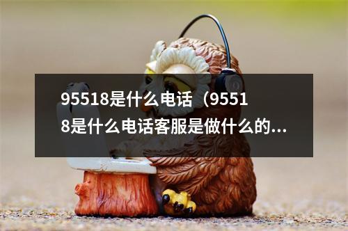 95518是什么电话（95518是什么电话客服是做什么的）