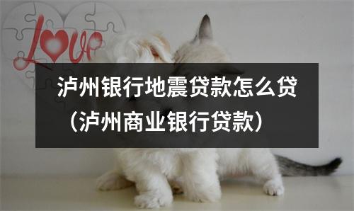 泸州银行地震贷款怎么贷（泸州商业银行贷款）
