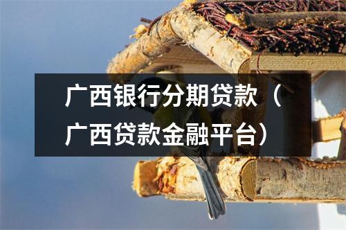广西银行分期贷款（广西贷款金融平台）