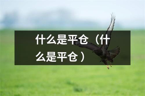 什么是平仓（什么是平仓 ）