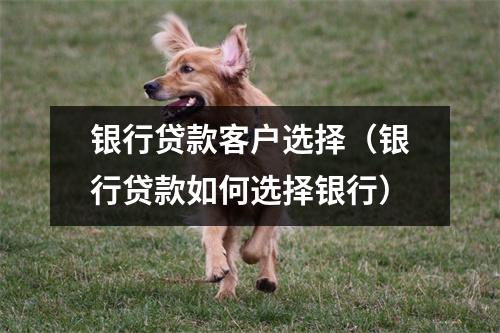 银行贷款客户选择（银行贷款如何选择银行）