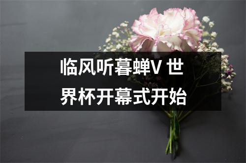 临风听暮蝉V 世界杯开幕式开始