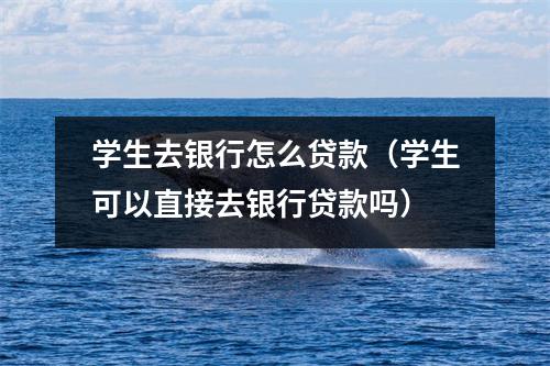 学生去银行怎么贷款(学生可以直接去银行贷款吗)