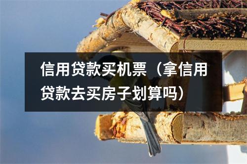 信用贷款买机票（拿信用贷款去买房子划算吗）