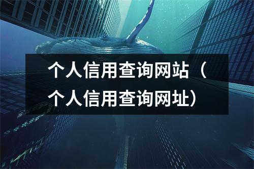 个人信用查询网站（个人信用查询网址）