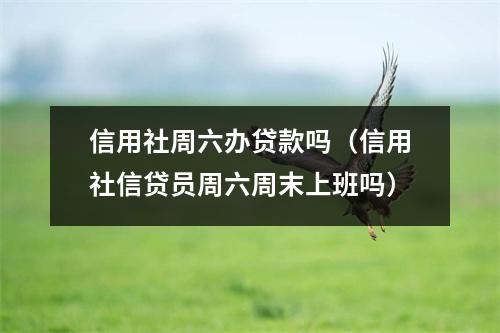 信用社周六办贷款吗（信用社信贷员周六周末上班吗）