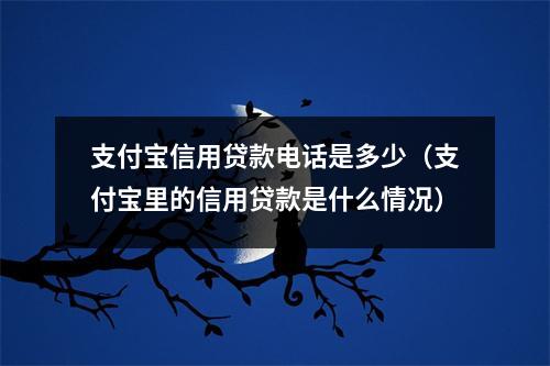 支付宝信用贷款电话是多少（支付宝里的信用贷款是什么情况）