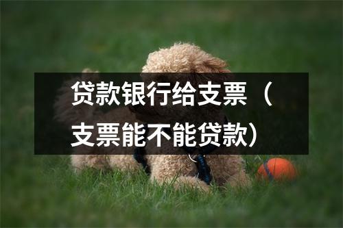 贷款银行给支票（支票能不能贷款）