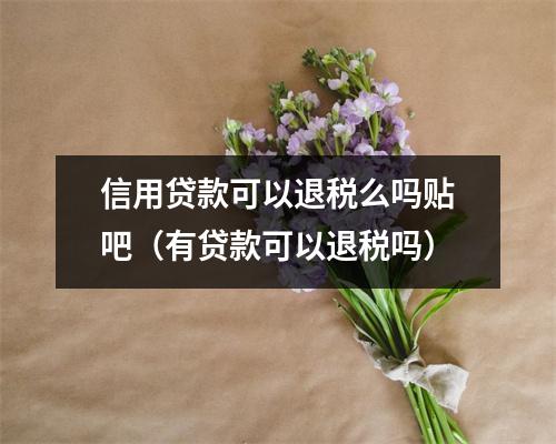 信用贷款可以退税么吗贴吧（有贷款可以退税吗）
