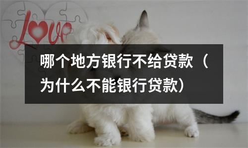 哪个地方银行不给贷款（为什么不能银行贷款）