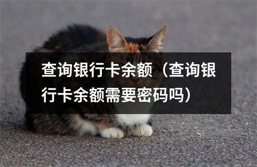查询银行卡余额(查询银行卡余额需要密码吗)